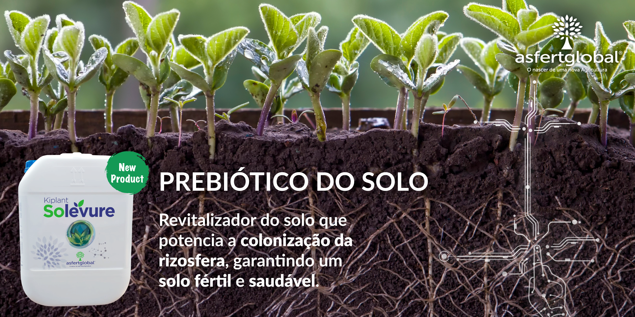 Kiplant Solevure é o novo Prebiótico da Asfertglobal que aumenta a fertilidade e saúde dos solos agrícolas